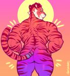 absurd_res anthro blue_nose butt felid hair hands_on_hips hi_res looking_at_viewer looking_back looking_back_at_viewer male mammal marlon.cores muscular muscular_anthro muscular_male nude pantherine rear_view solo striped_body stripes tiger 