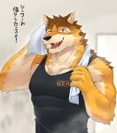  absurd_res after_exercise anthro barrel_(live-a-hero) bodily_fluids canid canine canis clothing fur hi_res kenjilokung live-a-hero male mammal multicolored_body multicolored_fur muscular muscular_anthro muscular_male pecs shirt solo sweat tank_top topwear towel wolf 