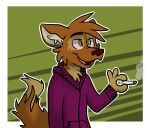 anthro brown_body brown_fur canid canine canis clothing detailed_background domestic_dog drugs fur green_background green_eyes hoodie male mammal marijuana matt_riskely open_mouth purple_sweatshirt simple_background smoking solo stoned substance_intoxication tan_body tan_fur tinydeerguy tongue_showing topwear 