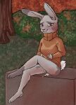  2021 anthro arrived_le biped bottomless_female breasts clothed clothing detailed_background female fur genitals grass grey_body grey_fur lagomorph leporid mammal orange_clothing orange_sweater orange_topwear outside partially_clothed plant pussy rabbit sitting smile sweater topwear tree 