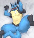  2021 ambiguous_gender angry anthro bedding bedding_background black_body black_fur blue_body blue_fur blush bodily_fluids canid canine captainjohkid cute_fangs dakimakura_design digital_media_(artwork) digitigrade featureless_crotch fluffy front_view fur hi_res high-angle_view kemono looking_at_viewer lucario lying male mammal multicolored_body multicolored_fur muscular muscular_anthro muscular_male neck_tuft nintendo nude on_back pok&eacute;mon pok&eacute;mon_(species) raised_arms red_eyes solo spikes spread_legs spreading sweat tuft video_games wide_hips yellow_body yellow_fur 
