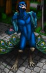  anthro avian barefoot beak bird blue_body blue_feathers bottomless clothed clothing discarded_clothing feathers feet galliform hi_res jacket knotty_curls maxedge navel open_clothing open_jacket open_topwear outside peacock_feather peafowl phasianid public_nudity solo talons topwear undressing 