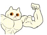  2021 2d_animation 4:3 animated anthro biceps canid canine dialogue domestic_cat duo egg english_text felid feline felis flexing fox humor keke_(artist) loop low_res male mammal muscular muscular_anthro muscular_male pan short_playtime simple_background stove text white_background 