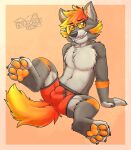  anthro balls_outline black_nose bulge canid canine cheek_tuft chest_tuft claws clothing cute_fangs ear_tuft eyebrows facial_tuft fur gaokun genital_outline grey_body grey_fur hair hi_res inner_ear_fluff male mammal orange_background orange_body orange_fur orange_hair orange_pawpads pawpads paws red_body red_clothing red_fur red_underwear sheath_outline simple_background solo toe_claws tuft underwear watermark yellow_sclera 