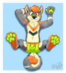  2020 9:10 absurd_res anthro black_nose blue_background bulge canid canine chest_tuft claws clothed clothing crotch_focus curled_tail fur gaokun genital_outline green_clothing green_pawpads green_underwear grey_body grey_fur hair hi_res inner_ear_fluff looking_at_viewer male mammal neck_tuft orange_body orange_fur orange_hair partially_clothed pawpads paws plantigrade sheath_outline simple_background solo toe_claws tuft underwear watermark white_body white_fur 