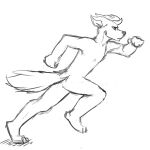  1:1 anthro butt canid canine canis domestic_dog hi_res looking_ahead male mammal matt_riskely monochrome muscular muscular_anthro muscular_male nude running shadow simple_background sketch solo tinydeerguy white_background 