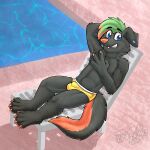 1:1 anthro beach_chair black_body black_fur blue_eyes bulge canid canine chest_tuft claws clothing cute_fangs ear_piercing eyebrows feet fur gaokun genital_outline gesture green_body green_fur green_hair hair hi_res looking_at_viewer male mammal orange_body orange_fur orange_hair orange_pawpads pawpads piercing sheath_outline solo teeth toe_claws tuft underwear v_sign water watermark yellow_clothing yellow_underwear 
