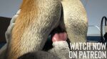  3d_(artwork) 3d_animation advertisement animal_genitalia animal_penis animated anthro canid canine canine_penis canis close-up detailed_background digital_media_(artwork) duo female fox fur genitals glistening isal loop male male/female mammal penetration penis wolf 