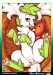  absurd_res bed bedroom_eyes blush feral furniture genitals hay hi_res legendary_pok&eacute;mon lying narrowed_eyes nest nintendo on_back paws pocketpaws pok&eacute;mon pok&eacute;mon_(species) presenting pussy seductive shaymin sky_forme_shaymin spread_legs spreading video_games 