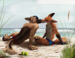  4_toes 5_fingers anthro beach blue_speedo canid canine canis clothed clothing day detailed_background domestic_dog duo ears_back eyes_closed eyewear feet fingers folded_ears fox french_kissing german_shepherd grass hand_on_knee hand_on_leg herding_dog kissing licking licking_lips male male/male mammal outside pastoral_dog pawpads paws pivoted_ears plant rascheln red_speedo romantic_couple sand seaside shirtless shoreline sky speedo sunglasses swimwear tennis_balls toes tongue tongue_out water wave 