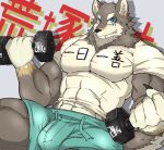  2021 anthro biceps blue_eyes bottomwear brown_body brown_fur canid canine canis clothing dumbbell fur hi_res inuyama_kensin male mammal muscular muscular_anthro muscular_male ogami_aratsuka pecs shirt solo topwear virtual_youtuber weights wolf 