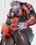  anthro armor bodysuit canid canine canis clothed clothing deruto45 erection erection_under_clothing fur grey_body grey_fur hi_res male mammal muscular muscular_anthro muscular_male skinsuit solo tenting tight_clothing tokyo_afterschool_summoners video_games volkv_vseslav wolf 