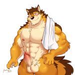  abs anthro balls barrel_(live-a-hero) beckykyun canid canine canis erection fur genitals hi_res live-a-hero male mammal multicolored_body multicolored_fur muscular muscular_anthro muscular_male nipples nude pecs penis solo towel wolf 
