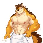  abs anthro barrel_(live-a-hero) beckykyun canid canine canis fur hi_res live-a-hero male mammal multicolored_body multicolored_fur muscular muscular_anthro muscular_male nipples pecs solo towel wolf 