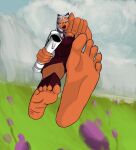 5_fingers 5_toes ahsoka_tano alien alien_humanoid awildlionappeared blue_eyes clothing dress feet female fingers first_person_view foot_focus grass hi_res humanoid humanoid_feet humanoid_hands looking_at_viewer orange_body orange_skin outside plant red_clothing red_dress smile smirk soles solo star_wars star_wars:_the_clone_wars toes togruta 