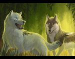  black_bars black_lips blue_eyes brown_body brown_fur canid canine canis day detailed_background forest fur grass lips mammal oneminutesketch open_mouth outside plant smile teeth tongue tree white_body white_fur wolf yellow_eyes 