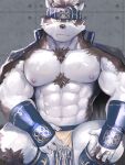  1boy abs ainu animal_ears bara bare_pectorals bulge chest_hair feet_out_of_frame fuga9 furry grey_fur grey_hair headband horkeu_kamui_(tokyo_houkago_summoners) jacket jacket_on_shoulders large_pectorals looking_at_viewer male_focus muscular muscular_male navel nipples pectorals pelvic_curtain scar scar_on_arm scar_on_chest short_hair silver_hair solo squatting stomach thighs tokyo_houkago_summoners two-tone_fur vambraces white_fur wolf_boy wolf_ears yellow_eyes 