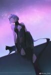  1girl animal bad_id bad_link bare_shoulders barefoot belt black_cat black_headwear black_legwear breasts cat center_opening dark_skin dark_skinned_female fate/grand_order fate_(series) feet hassan_of_serenity_(fate) looking_to_the_side night night_sky purple_eyes purple_hair reroi short_hair sitting sky star_(sky) watermark 