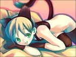  animal_ears bottomless cat_ears copyright_request face gloves short_hair soine solo tail thighhighs 