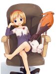 1girl alice_margatroid alternate_costume bangs barefoot bird blonde_hair blue_shirt blue_shorts blush chair commentary_request cookie_(touhou) crossed_legs eyebrows_visible_through_hair fang foot_out_of_frame gen_6_pokemon hairband head_rest highres looking_at_viewer miyako_(naotsugu) office_chair open_mouth pokemon red_hairband shirt short_hair shorts simple_background sitting stuffed_animal stuffed_bunny stuffed_toy taisa_(cookie) talonflame touhou white_background 