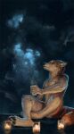  2021 anthro beverage biped black_nose brown_body brown_fur candle canid canine canis conditional_dnp cup digital_media_(artwork) fur hi_res holding_cup holding_object humanoid_hands latex_(artist) male mammal multicolored_body multicolored_fur nude outside pawpads paws sitting sky solo star starry_sky two_tone_body two_tone_fur white_body white_fur wolf yellow_eyes 