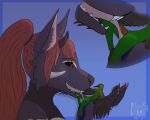  5:4 anthro avian bird canid canine claws digital_drawing_(artwork) digital_media_(artwork) duo erection feathered_wings feathers female flat_colors fur genitals green_body hair handpaw hummingbird licking long_hair macro male male/female malekart mammal micro nude open_mouth oral pawpads paws penis red_eyes sex shaded simple_background simple_shading size_difference tongue tongue_out wings 
