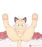  absurd_res anus balls big_butt bodily_fluids butt coin cum erection feral fur genital_fluids genitals hi_res komodo89 looking_at_viewer male mammal meowth nintendo nipples nude penis pok&eacute;ball pok&eacute;mon pok&eacute;mon_(species) simple_background smile solo video_games 