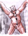  2005 anthro balls brown_body brown_fur caesarcub flaccid fur genitals humanoid_genitalia humanoid_penis leather male mammal moobs nipples overweight overweight_anthro overweight_male penis solo traditional_media_(artwork) ursid 