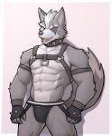  2021 abs anthro armband bulge canid canine canis clothing collar eye_patch eyewear fingerless_gloves gloves hair handwear harness hi_res jockstrap jrjresq looking_at_viewer male mammal muscular muscular_anthro muscular_male navel nintendo nipples open_mouth open_smile pecs simple_background smile solo standing star_fox underwear video_games white_background wolf wolf_o&#039;donnell 