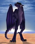  anthro beach dragon hands_on_hips hi_res invalid_tag looking_at_viewer male seaside shido-tara solo sunrise 