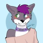  anonymous_artist anthro blush canid canine canis ear_piercing ear_ring fur girly jace_tempt_(character) male mammal multicolored_body multicolored_eyes multicolored_fur piercing simple_background solo two_tone_body two_tone_fur wolf 