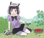  1girl animal_ears black_neckwear black_skirt blue_eyes blue_sweater blush bow bowl bowtie bush common_raccoon_(kemono_friends) elbow_gloves extra_ears eyebrows_visible_through_hair fang food fruit fur_collar gloves grass grey_gloves grey_hair grey_legwear highres kemono_friends looking_at_viewer multicolored_hair open_mouth pantyhose pleated_skirt puffy_short_sleeves puffy_sleeves raccoon_ears raccoon_girl raccoon_tail raspberry san_sami short_hair short_sleeves simple_background sitting skirt solo sweater tail white_fur white_hair yokozuwari 