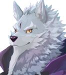 2021 absurd_res anthro bbrt534 beard black_nose canid canine canis eyebrows facial_hair fur grey_body grey_fur hi_res law_(sdorica_sunset) male mammal orange_eyes sdorica simple_background solo thick_eyebrows white_background white_eyebrows wolf yellow_sclera 