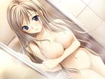  bangs bathroom blue_eyes blush breast_hold breast_squeeze breasts clenched_hand collarbone door doorway dutch_angle eien_no_aselia embarrassed eternity_sword_series eyebrows_visible_through_hair game_cg groin indoors katima_aigias legs_together long_hair looking_at_viewer masaharu medium_breasts navel nipples nude open_door parted_lips seinarukana shiny shiny_skin silhouette silver_hair solo standing steam straight_hair surprised tile_wall tiles towel very_long_hair 
