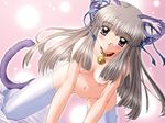  animal_ears blush breasts cat cat_ears cat_tail catgirl dog_ears inumimi long_hair naked neko nude tail thighhighs 