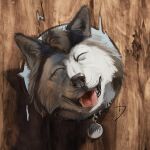  1:1 black_lips black_nose canid canine canis eyes_closed fangs fence feral fur grey_body grey_fur happy hi_res jerry_(jr-wolf) lips mammal nomax portrait smile solo tongue whiskers white_body white_fur wolf 