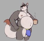  absurd_res belly beverage big_bulge bulge canid canine canis chubby_male clothing coffee grumpy hi_res jockstrap looking_away male mammal moobs musclegut nipples slightly_chubby solo tcw underwear wolf 