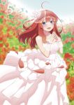  5-toubun_no_hanayome tagme 