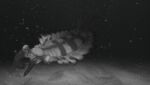  2019 ambiguous_gender anomalocarid anomalocaris arthropod black_markings claws detailed_background feral great_appendages greyscale hi_res kingrexy looking_at_viewer marine markings monochrome night sand solo swimming underwater water white_body white_eyes 