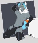  absurd_res anixis anthro blue_hair bulge canid canine canis clothing conditional_dnp fur genital_outline gloves green_eyes grey_body grey_fur hair handwear hi_res ice_chip latex_gloves latex_stockings male mammal neck_tuft penis_outline presenting_bulge solo tuft wolf 