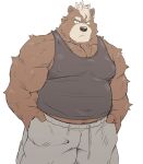  2021 anthro black_nose bottomwear brown_body brown_fur clothing fur hi_res kemono male mammal mti777 musclegut overweight overweight_anthro overweight_male pants shirt simple_background solo tank_top topwear ursid white_background 