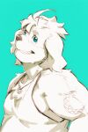  absurd_res anthro biceps bust_portrait canid canine canis domestic_dog floppy_ears green_eyes grin heylaw21 hi_res hisaki_(live-a-hero) jewelry live-a-hero male mammal necklace portrait slightly_chubby smile solo tattoo 