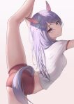  1girl animal_ears arched_back ass bare_legs breasts cowboy_shot crop_top hair_ribbon highres horse_ears horse_girl horse_tail leg_lift leg_up long_hair looking_at_viewer marinesnow medium_breasts mejiro_mcqueen_(umamusume) micro_shorts midriff purple_eyes purple_hair red_shorts ribbon shirt short_shorts short_sleeves shorts simple_background smile solo split standing standing_on_one_leg standing_split tail thighs umamusume white_background white_shirt 