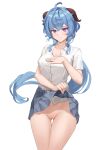  argus ganyu_(genshin_impact) genshin_impact horns nopan pussy skirt_lift uncensored 