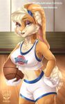  anthro basketball blonde_hair blue_eyes bottomwear clothed clothing digital_media_(artwork) female fur hair half-length_portrait hi_res inside kotezio lagomorph leporid lola_bunny looking_at_viewer looney_tunes mammal open_mouth patreon portrait rabbit shorts smile solo space_jam text topwear url warner_brothers 