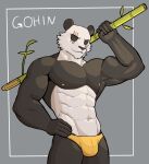  2021 abs anthro bamboo barazoku beastars biceps black_sclera bulge character_name clothing giant_panda gouhin grey_background hi_res holding_object jrjresq male mammal muscular muscular_anthro muscular_male navel nipples pecs pinup pose scar simple_background solo standing thong underwear ursid 