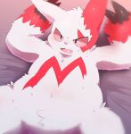  anthro bed belly bodily_fluids claws dorobo_39 fluffy fur furniture hi_res lying nintendo on_back pok&eacute;mon pok&eacute;mon_(species) slightly_chubby solo sweat video_games white_body white_fur zangoose 