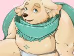  anthro belly bird_dog briefs canid canine canis cddi_h clothed clothing cu_sith_(tas) domestic_dog fur golden_retriever green_eyes hunting_dog male mammal navel partially_clothed retriever scarf slightly_chubby solo tighty_whities tokyo_afterschool_summoners underwear video_games white_clothing white_underwear yellow_body yellow_fur 