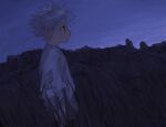  1boy bangs closed_mouth from_side grass highres hunter_x_hunter killua_zoldyck male_focus outdoors profile shirt sky solo spiked_hair standing star_(sky) tall_grass toripippi_7 white_shirt 