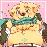  1:1 ? anthro belly bird_dog blush canid canine canis clothing cu_sith_(tas) domestic_dog fur golden_retriever hiryuuuuuuuuu hunting_dog jacket male mammal moobs nipples retriever scarf shirtless slightly_chubby solo tokyo_afterschool_summoners topwear video_games yellow_body yellow_fur 